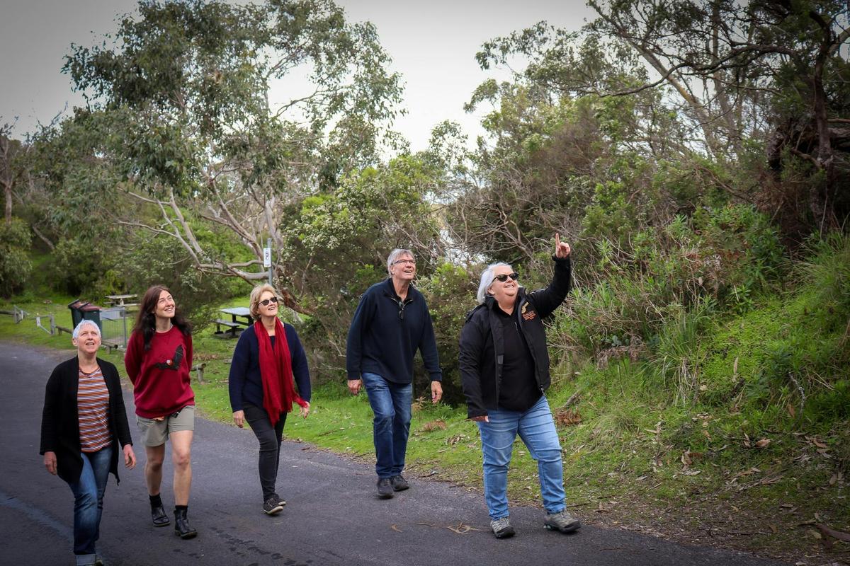 Bocara Cultural Walking Tours in Nelson, Victoria.