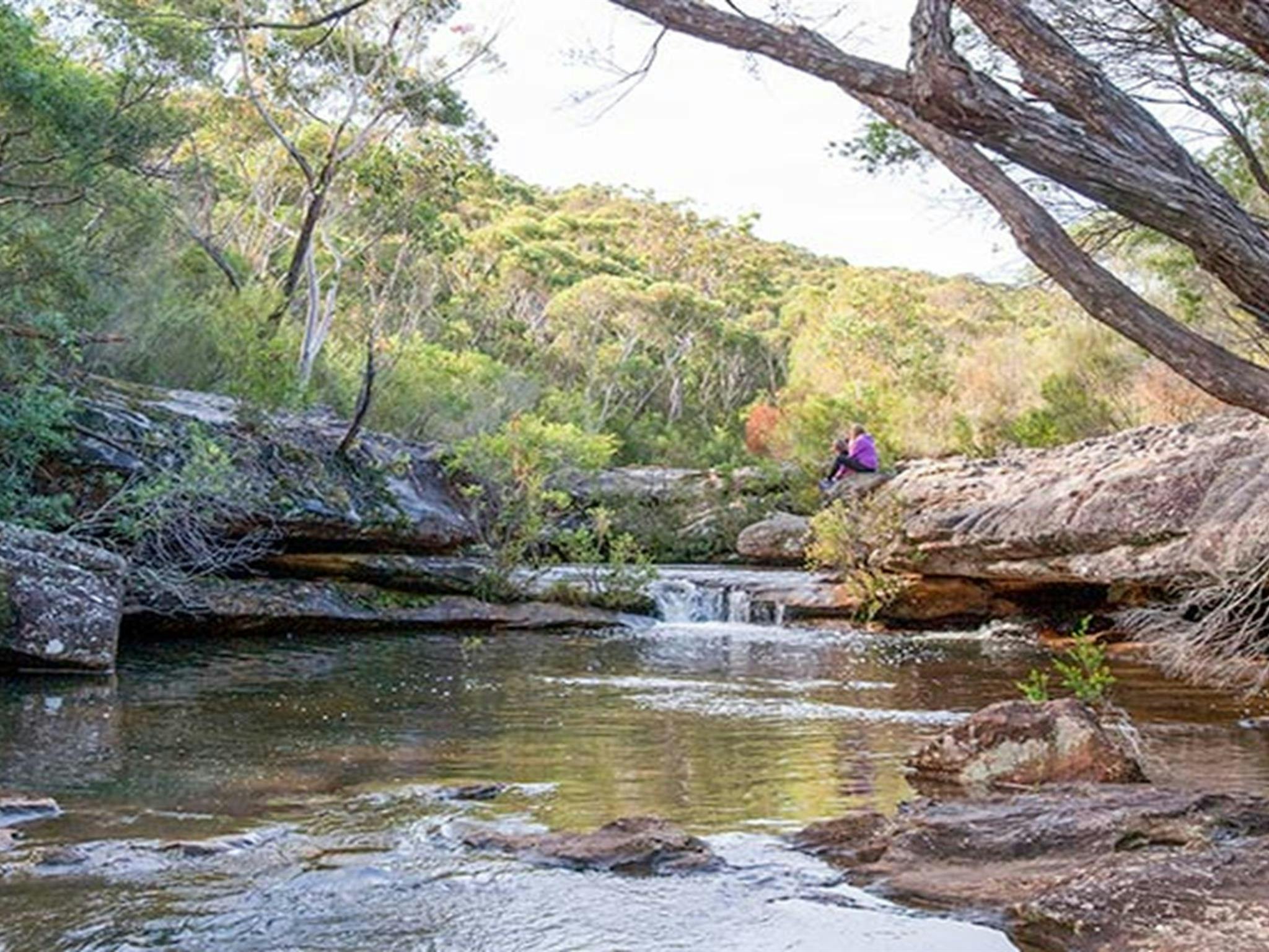 Kingfisher Pool picnic area, Heahtcote National Park. Photo: Nick Cubbin &copy; OEH