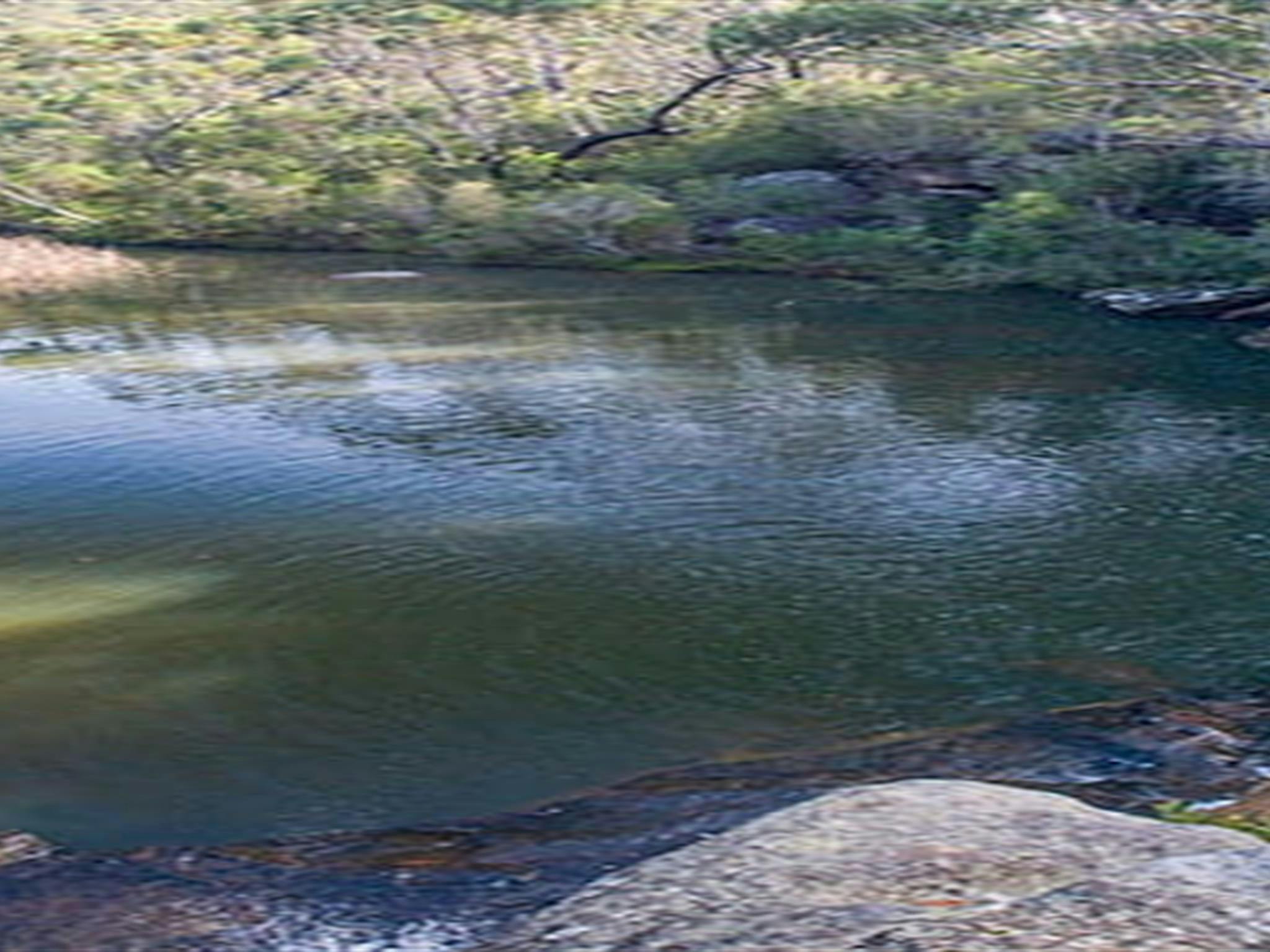 Kingfisher Pool picnic area, Heahtcote National Park. Photo: Nick Cubbin &copy; OEH