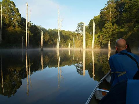 Otway Eco Tours