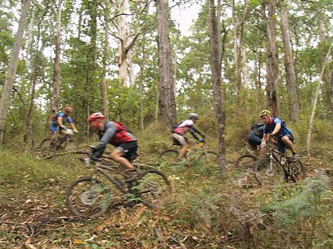 Otway Eco Tours