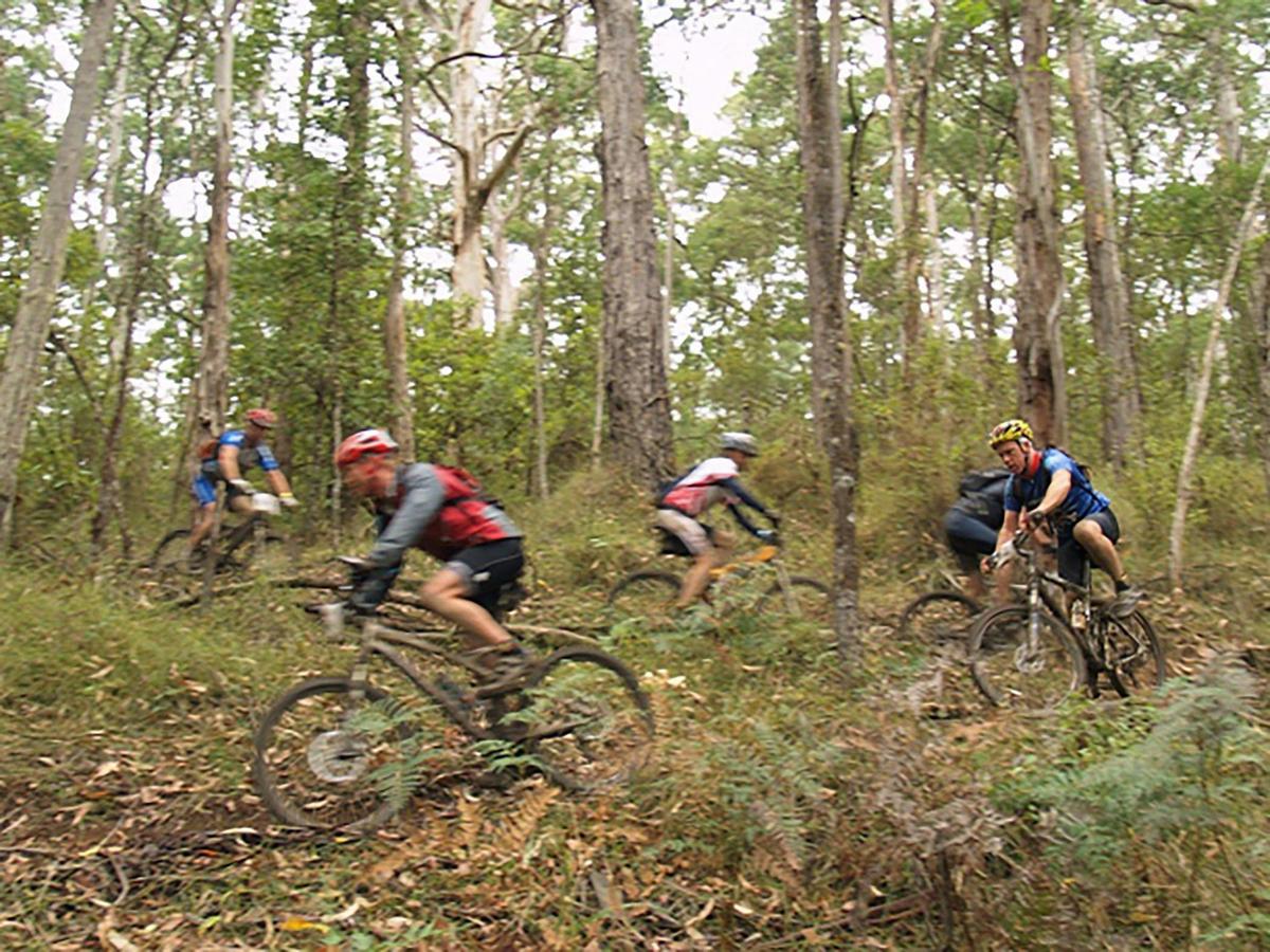 Forrest Mountain Bikes