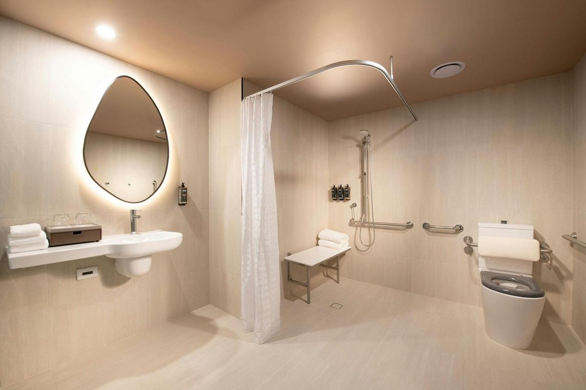 Standard Room 1 King Bed Accessible - bathroom