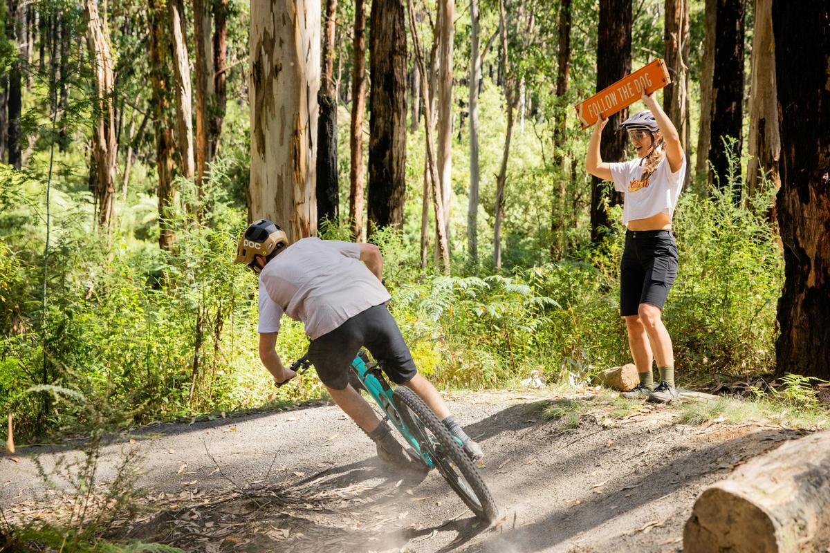 Riding on Forrest mountain bike trails
