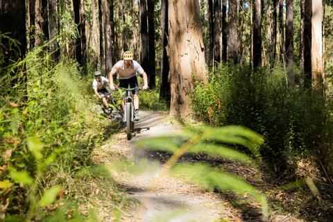 Forrest Mountain Bike Trails