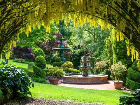 Forest Glade Gardens