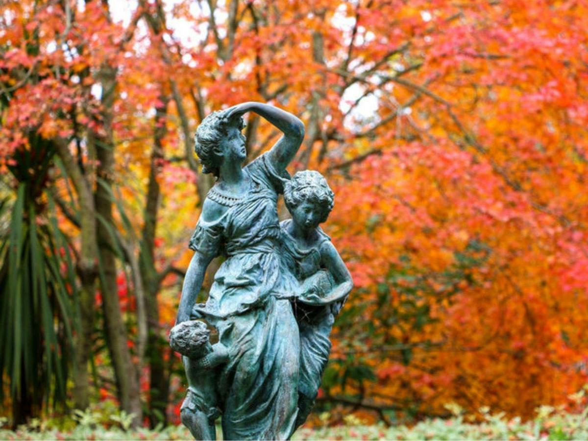 Autumn at Forest Glade Gardens