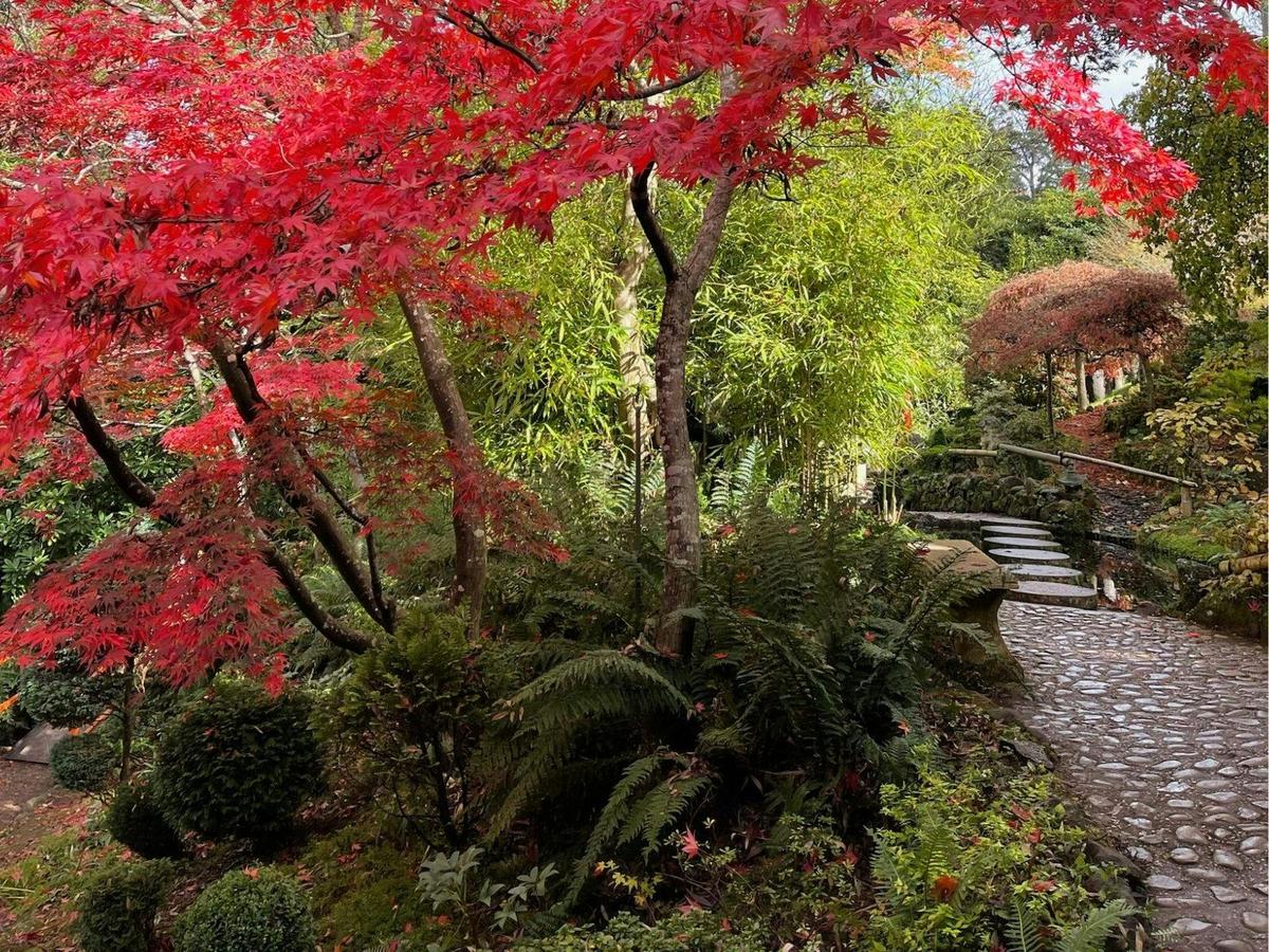 Autumn at Forest Glade Gardens