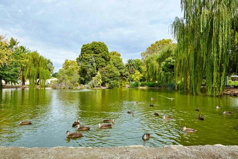Phillips Botanical Gardens
