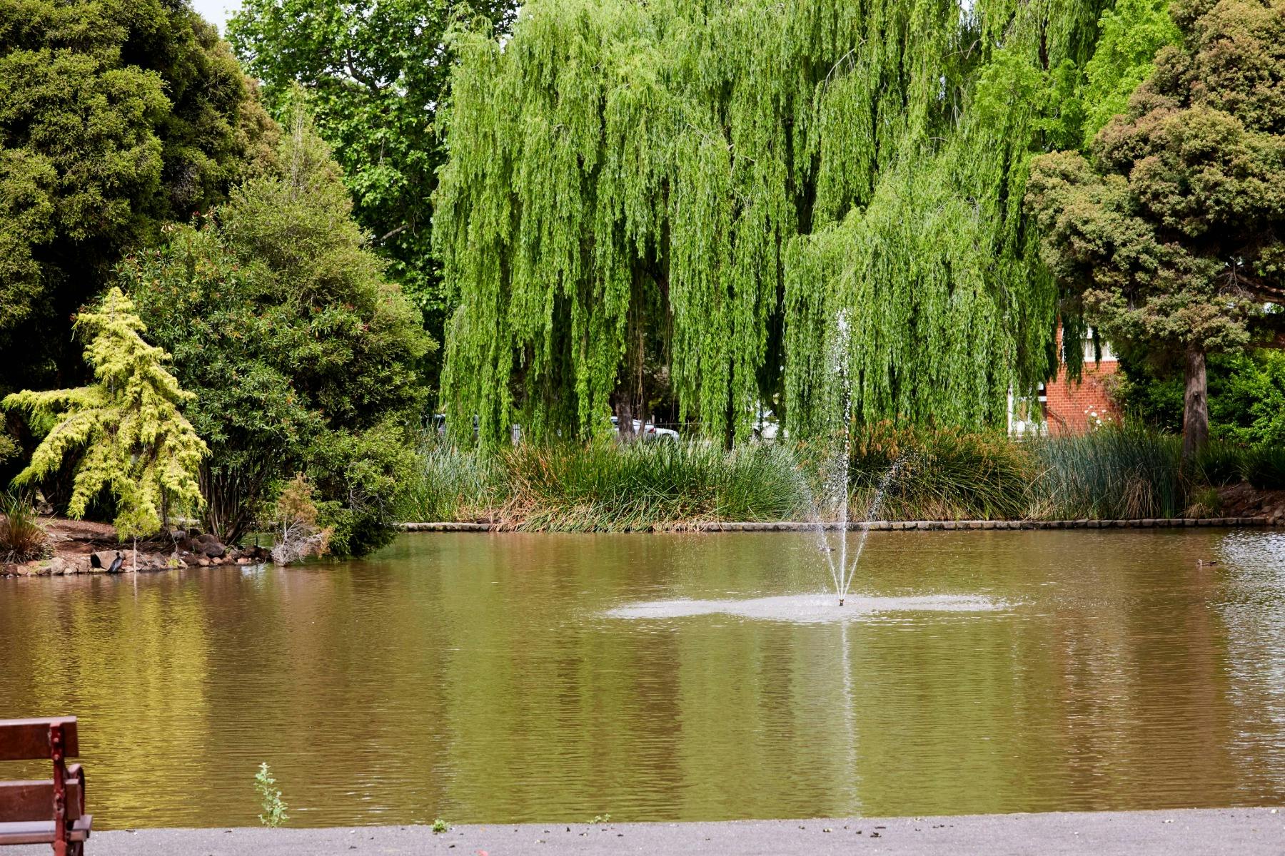 Phillips Botanical Gardens