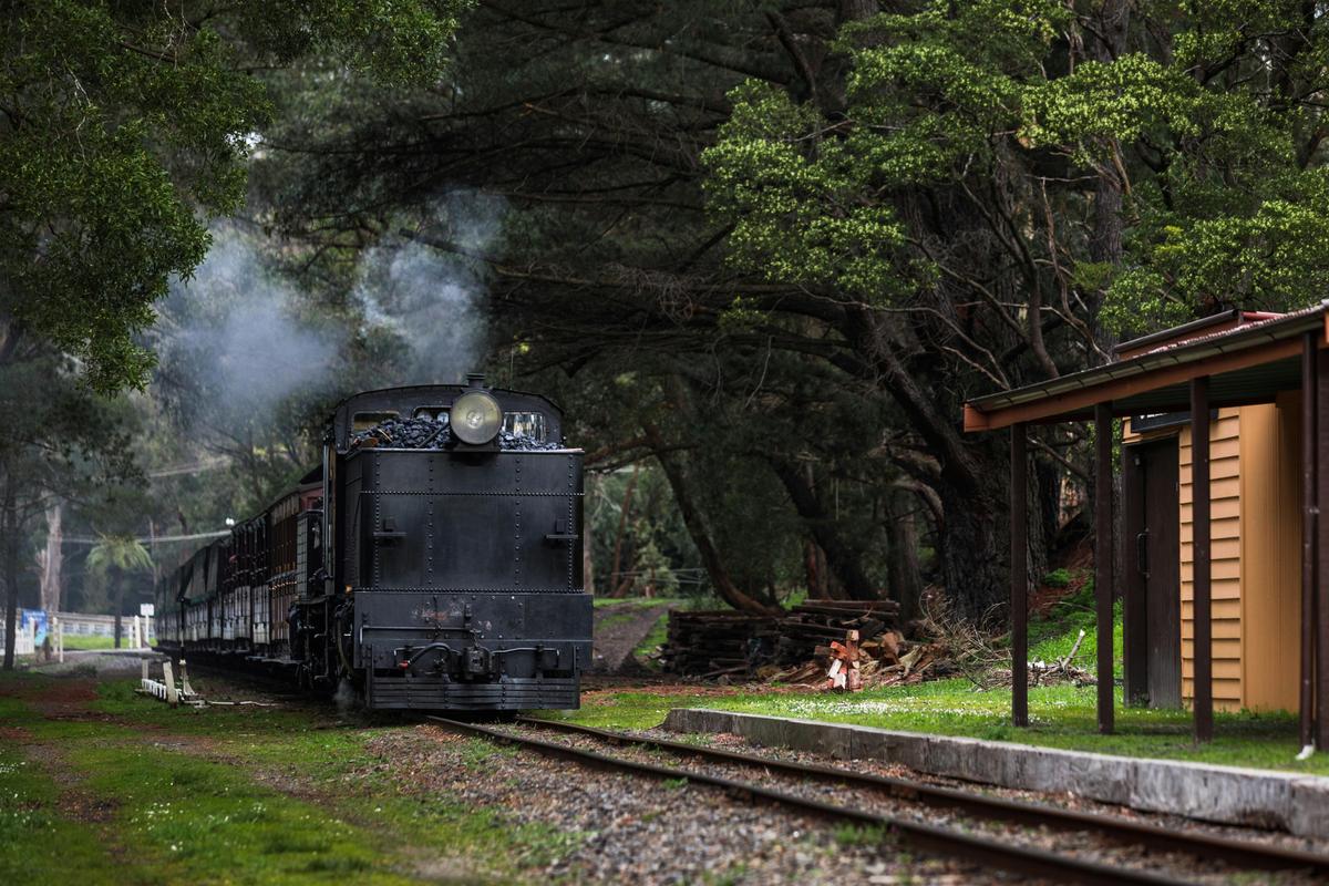 Puffing Billy
