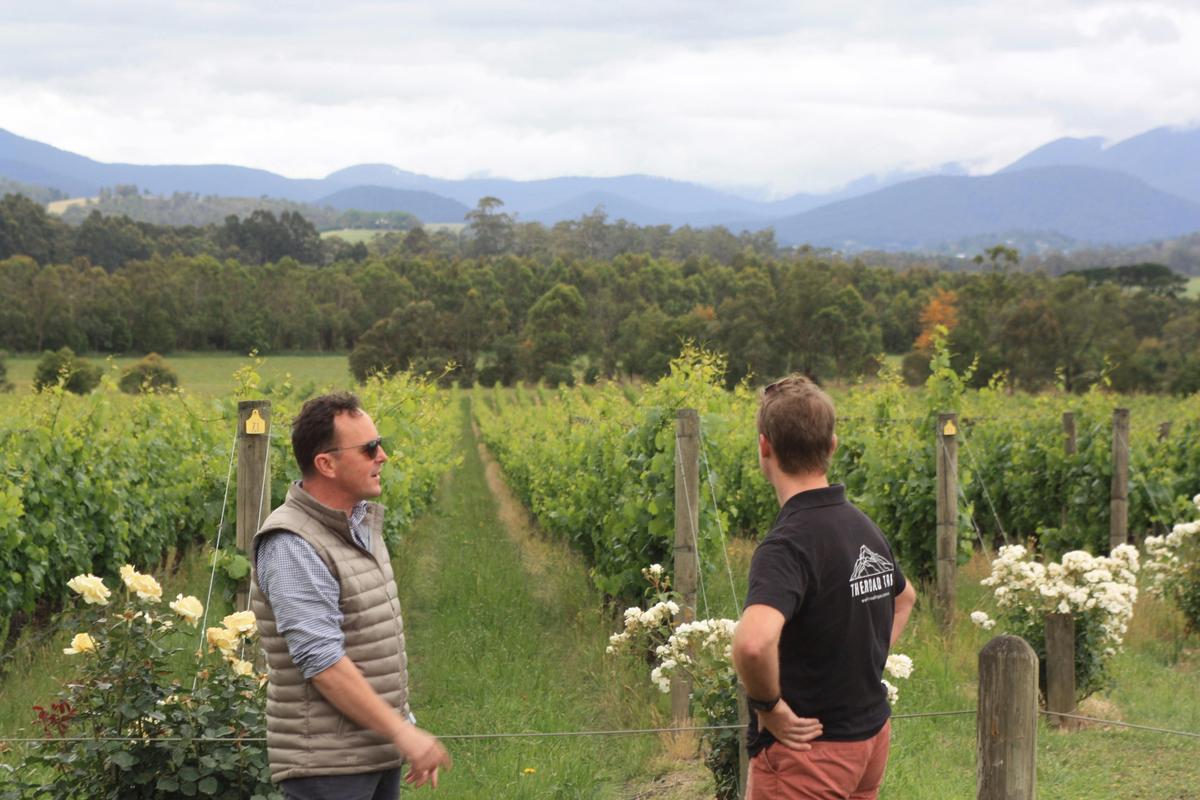 Wine tasting in the Yarra Valley