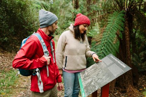 Starlings Gap Campground