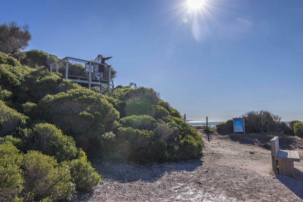 Long Point lookout