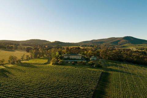 Pimpernel Vineyards