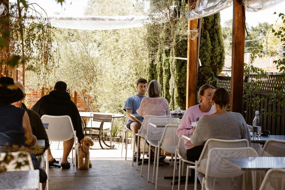 Pet-friendly courtyard