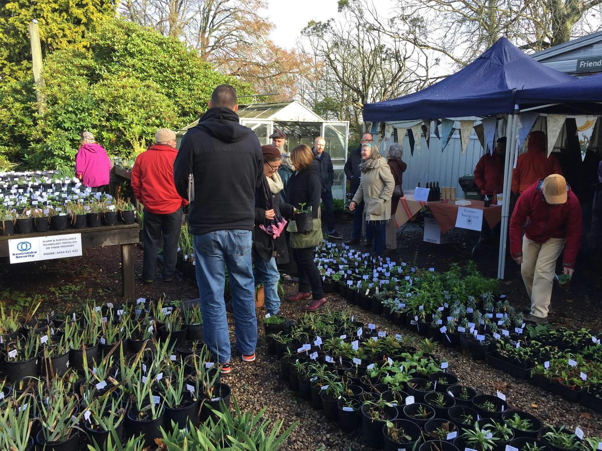 Visitors browsing plant sales at Friends of Wombat Hill Botanic Gardens