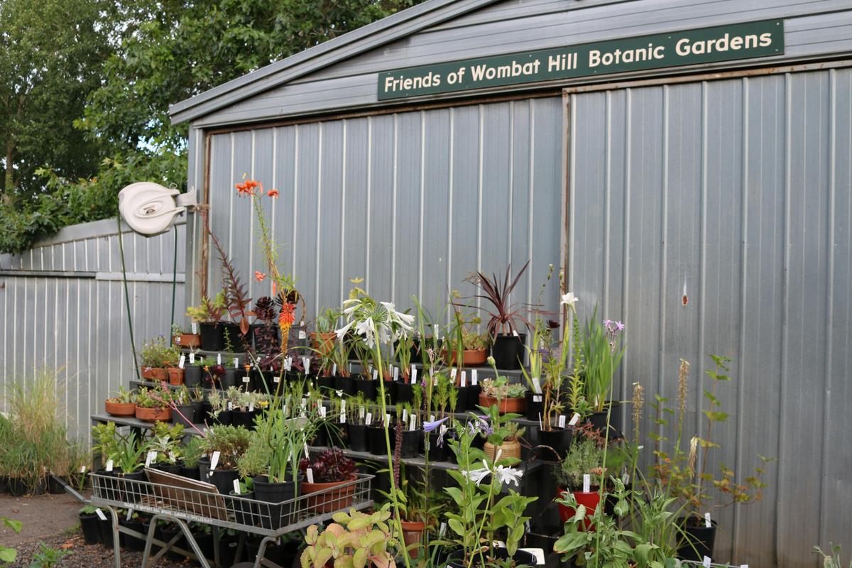 Plant sales at Friends of Wombat Hill Nursery