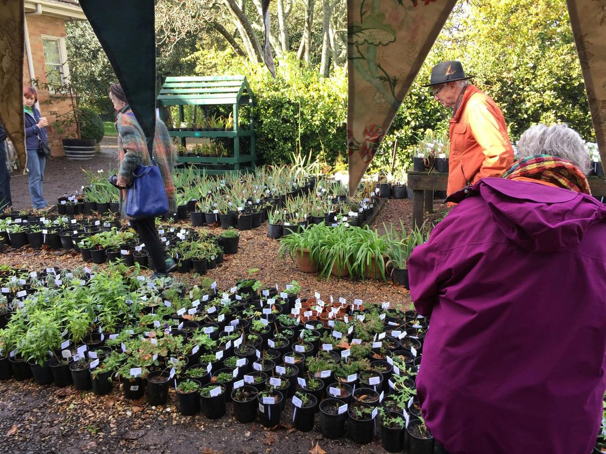 Visitors browsing plant for sale at Friends of Wombat Hill Botanic Gardens
