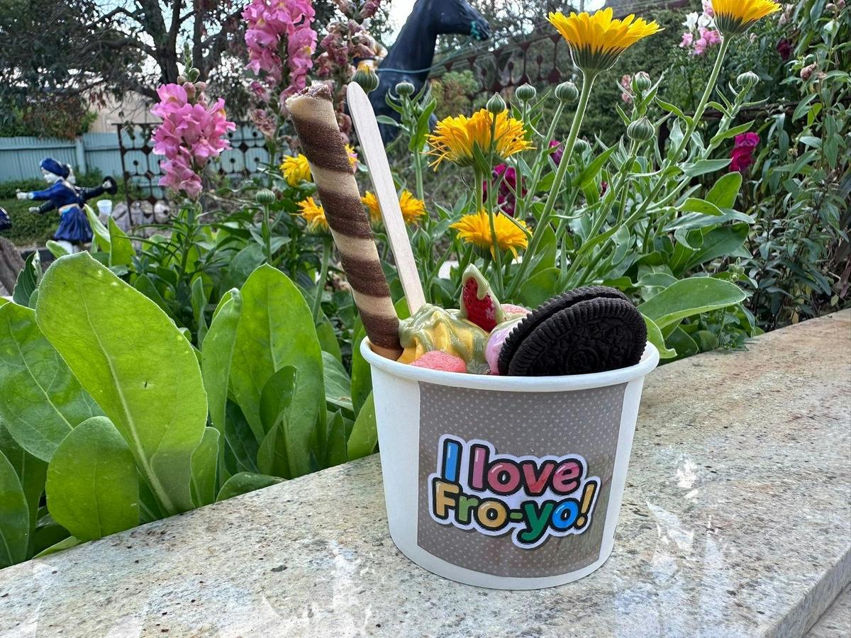 Froyo Fun