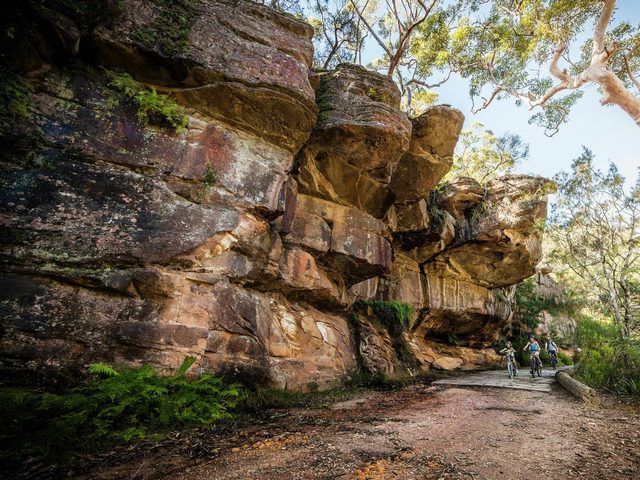 Lady Carrington Drive