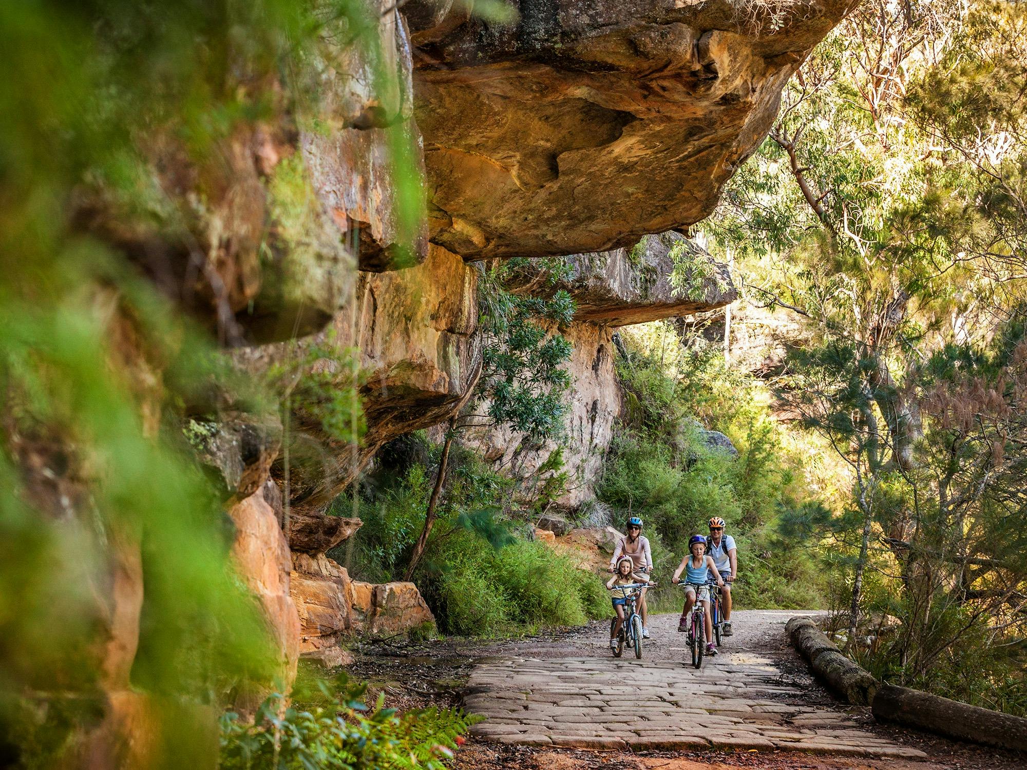 A great family day out near Sydney, this easy bike trail follows the Hacking River near Audley