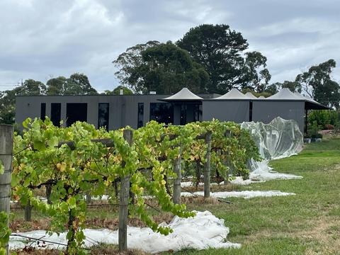 Many Hands Winery