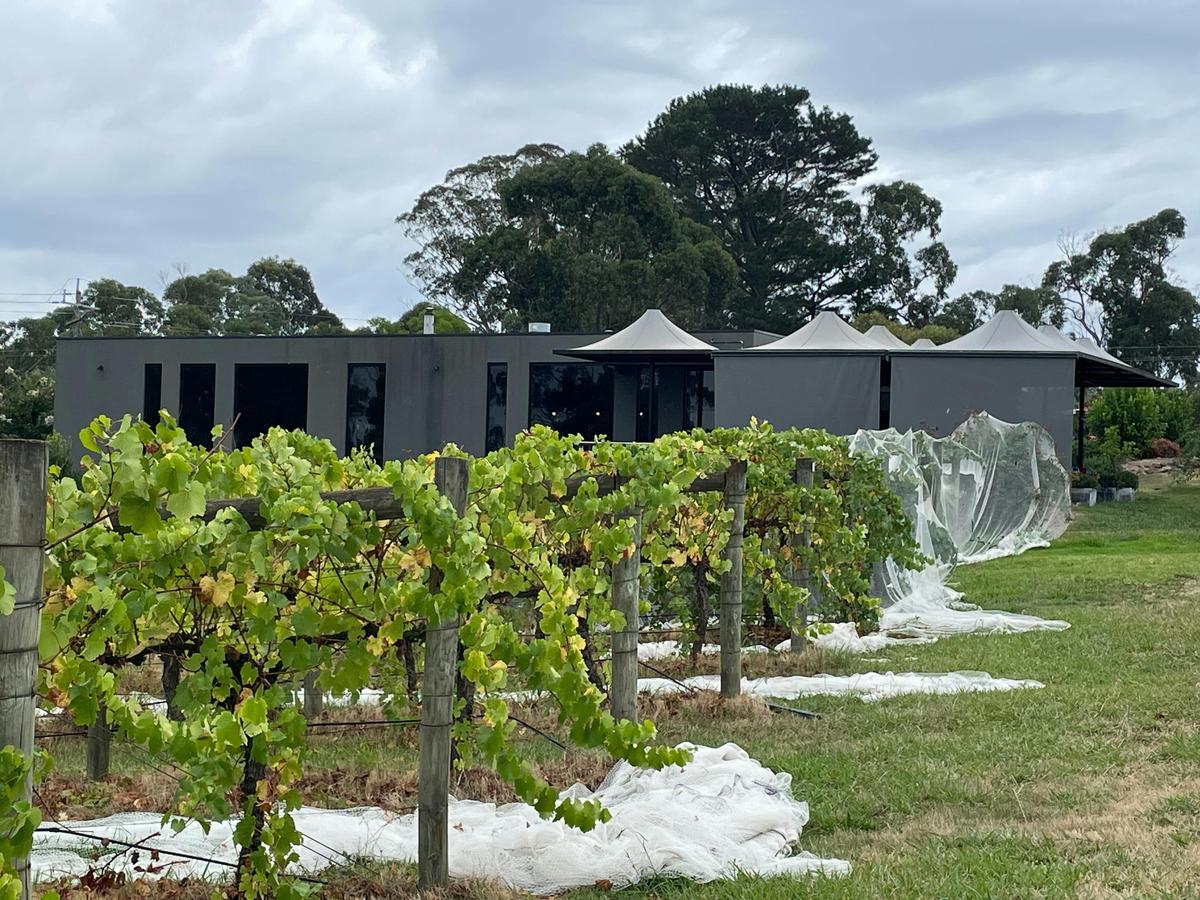 Many Hands Winery
