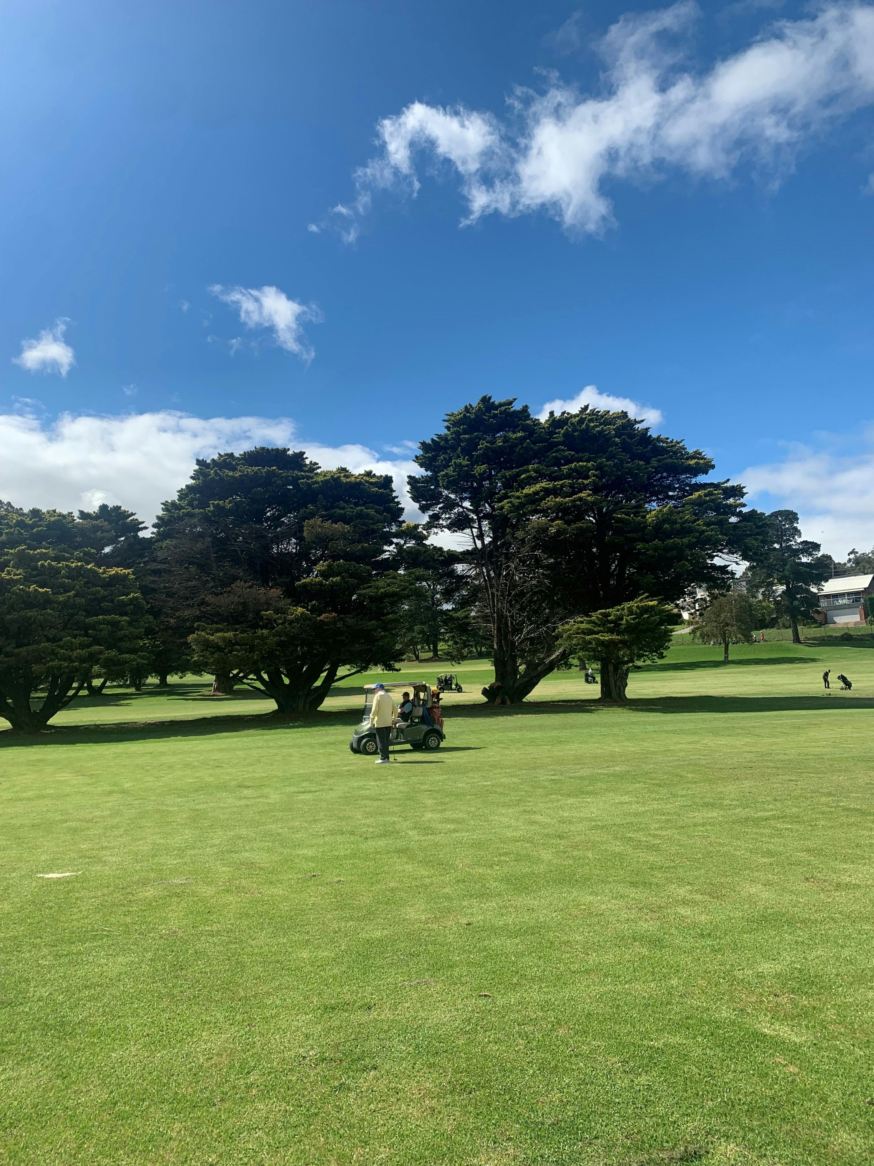 Image of golfer and golf cart