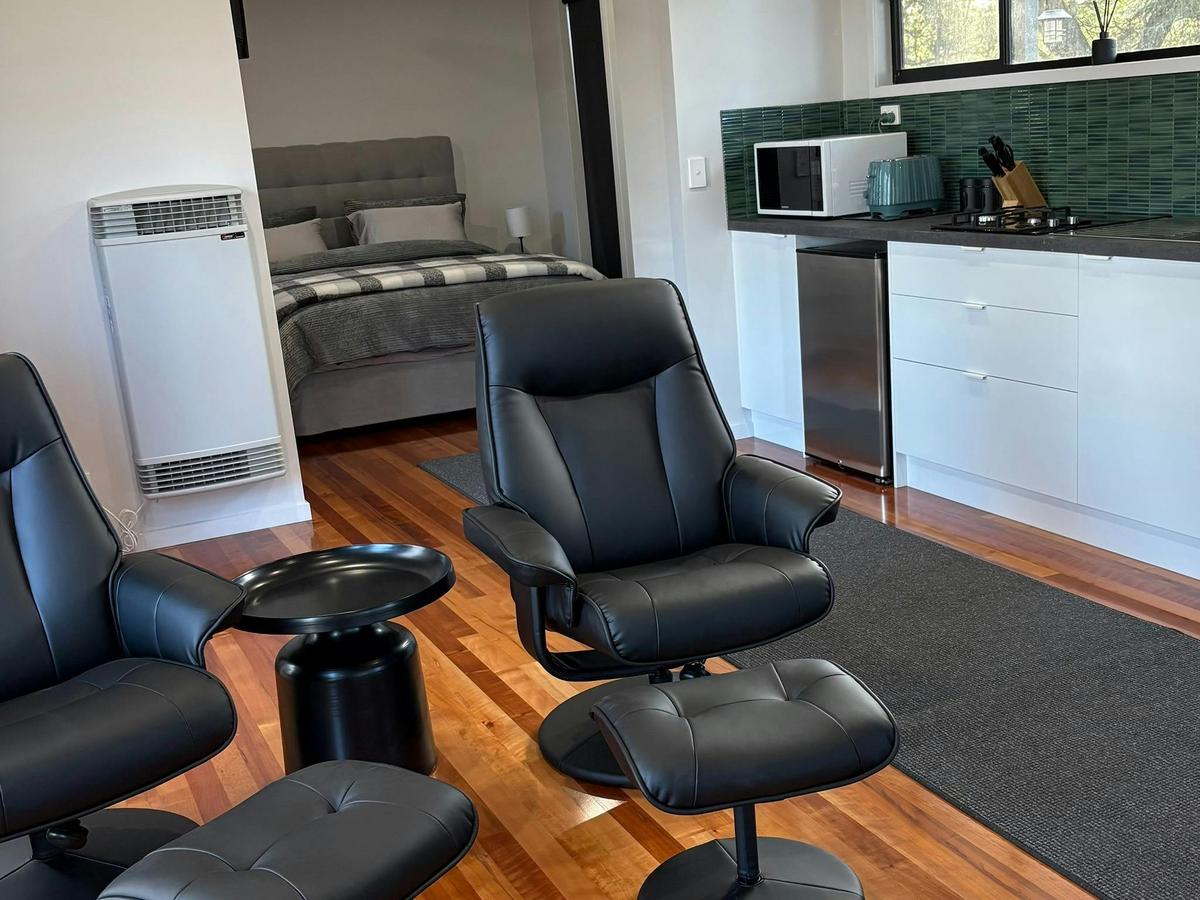 Internal view of living, kitchenette and bedroom