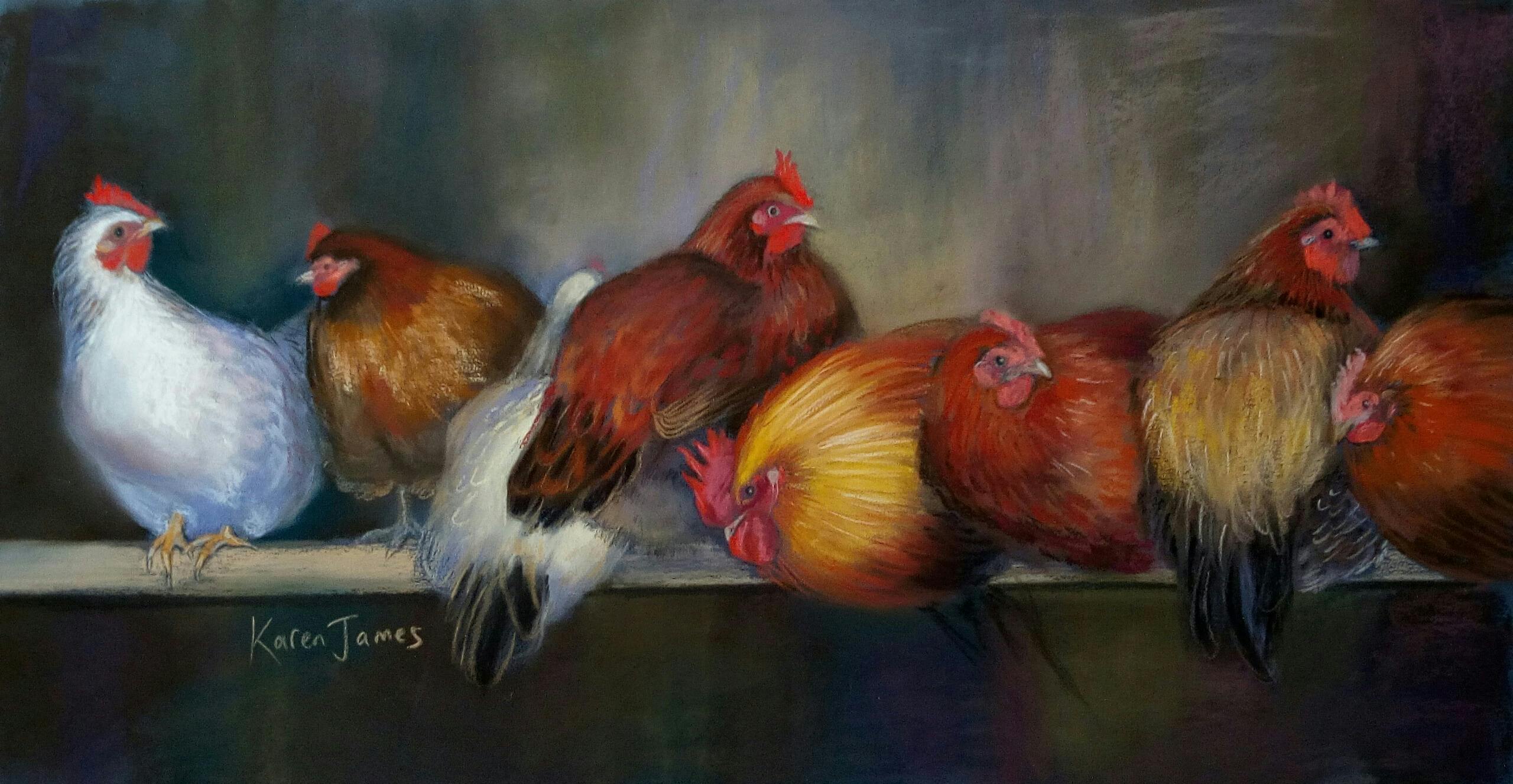 Chickens roosting pastel painting by Karen James