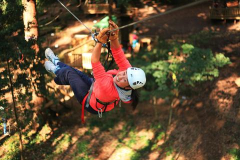 Treetops Adventure Belgrave