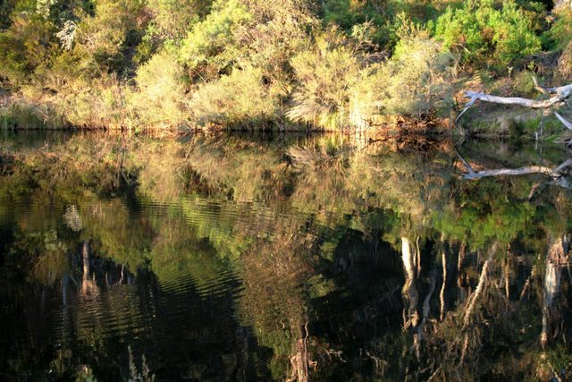 Kayaking Lower Tuross River and Borang Lake