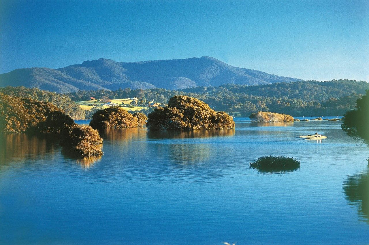 Tuross