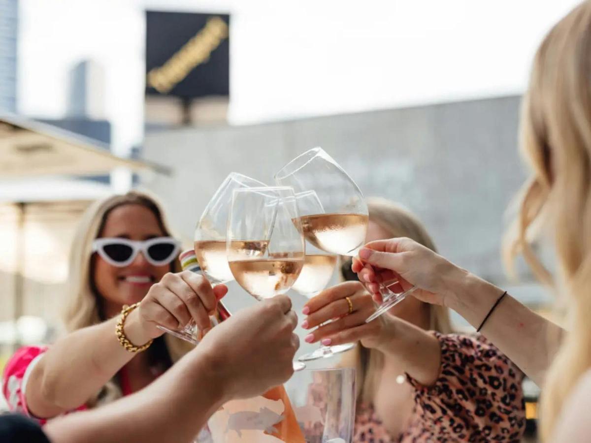 Group of people clinking wine glasses in one of Transport Public Bars Beer Gardens