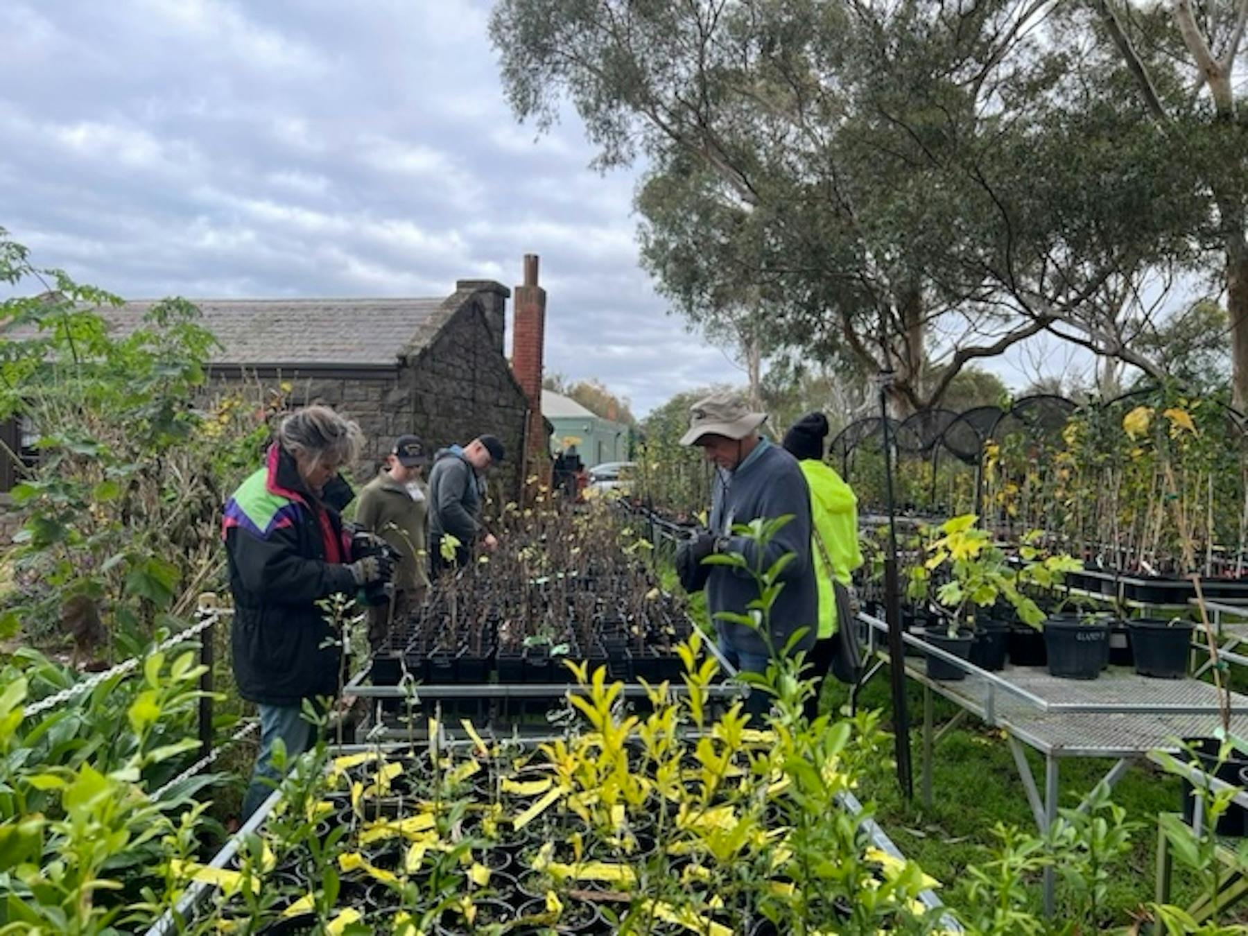 Working in our nursery