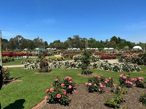 Werribee Park Heritage Orchard