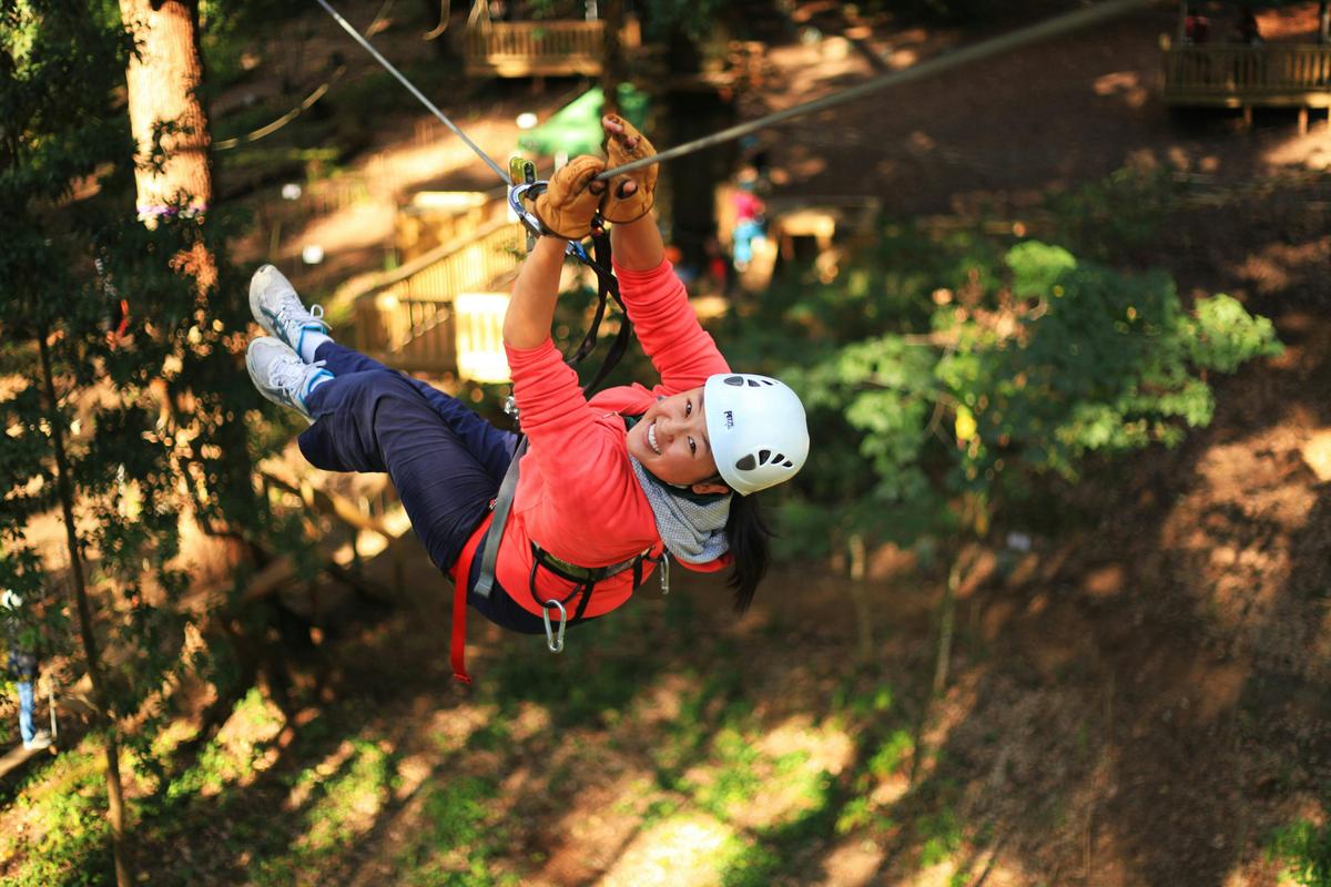 Over 20 Ziplines