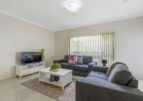 Anne Street Grand Oasis