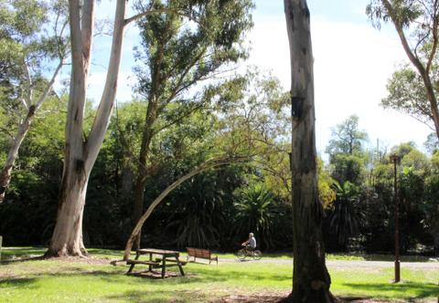 Arboretum Park