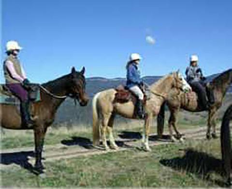 Centennial Glen Stables