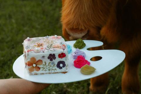 Coos and Cakes