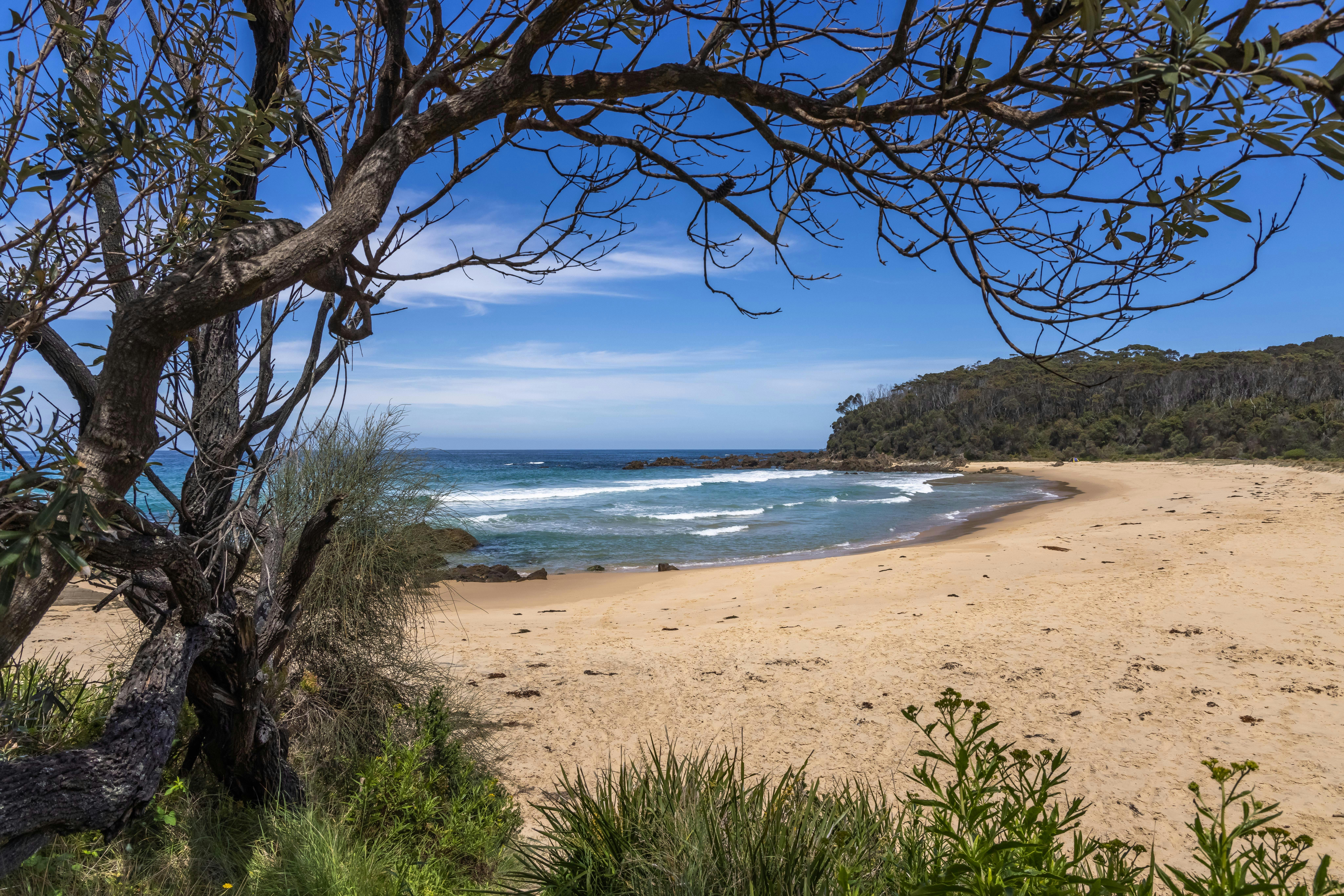 Armands Beach, Sapphire Coast