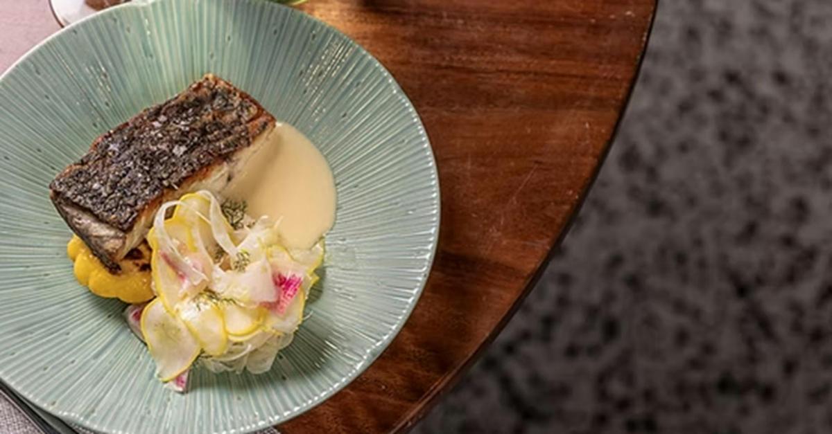 Barramundi