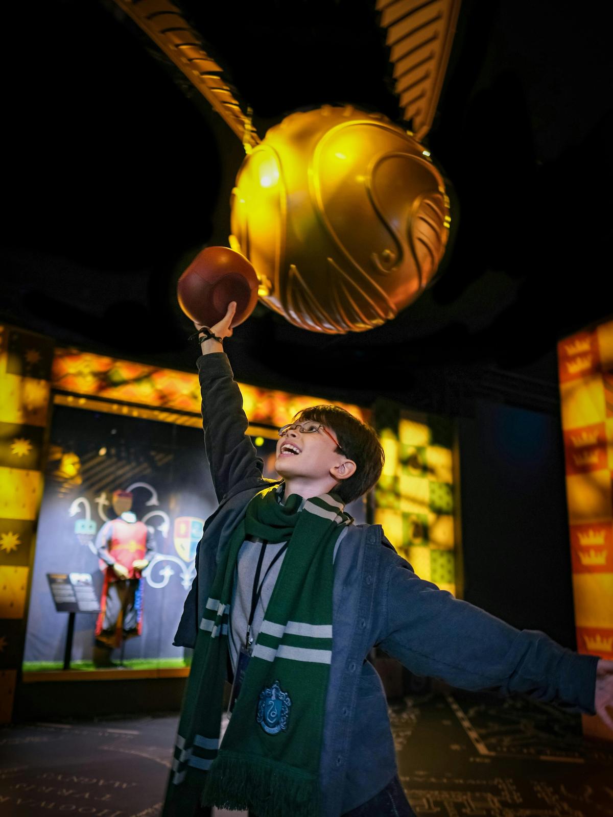 Harry Potter the Exhibition