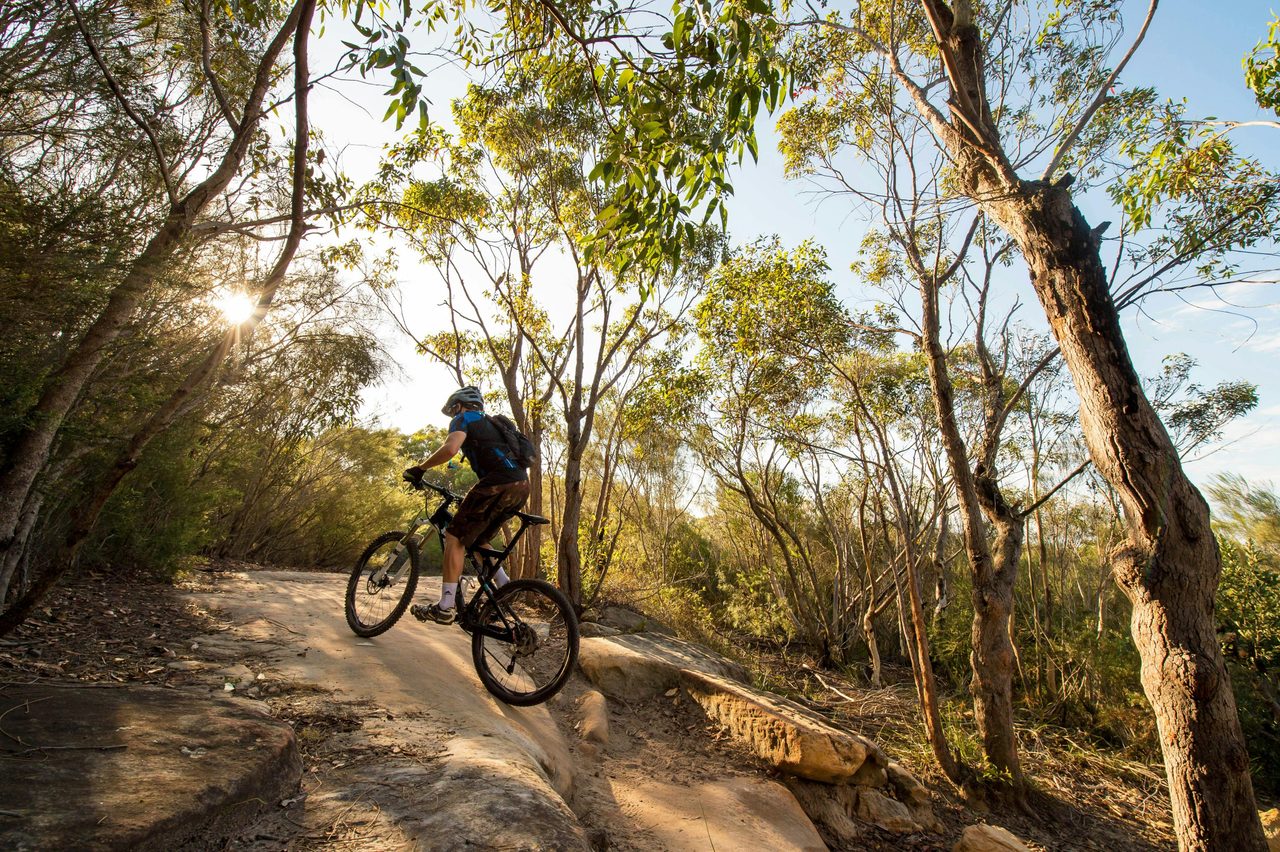 Manly Dam