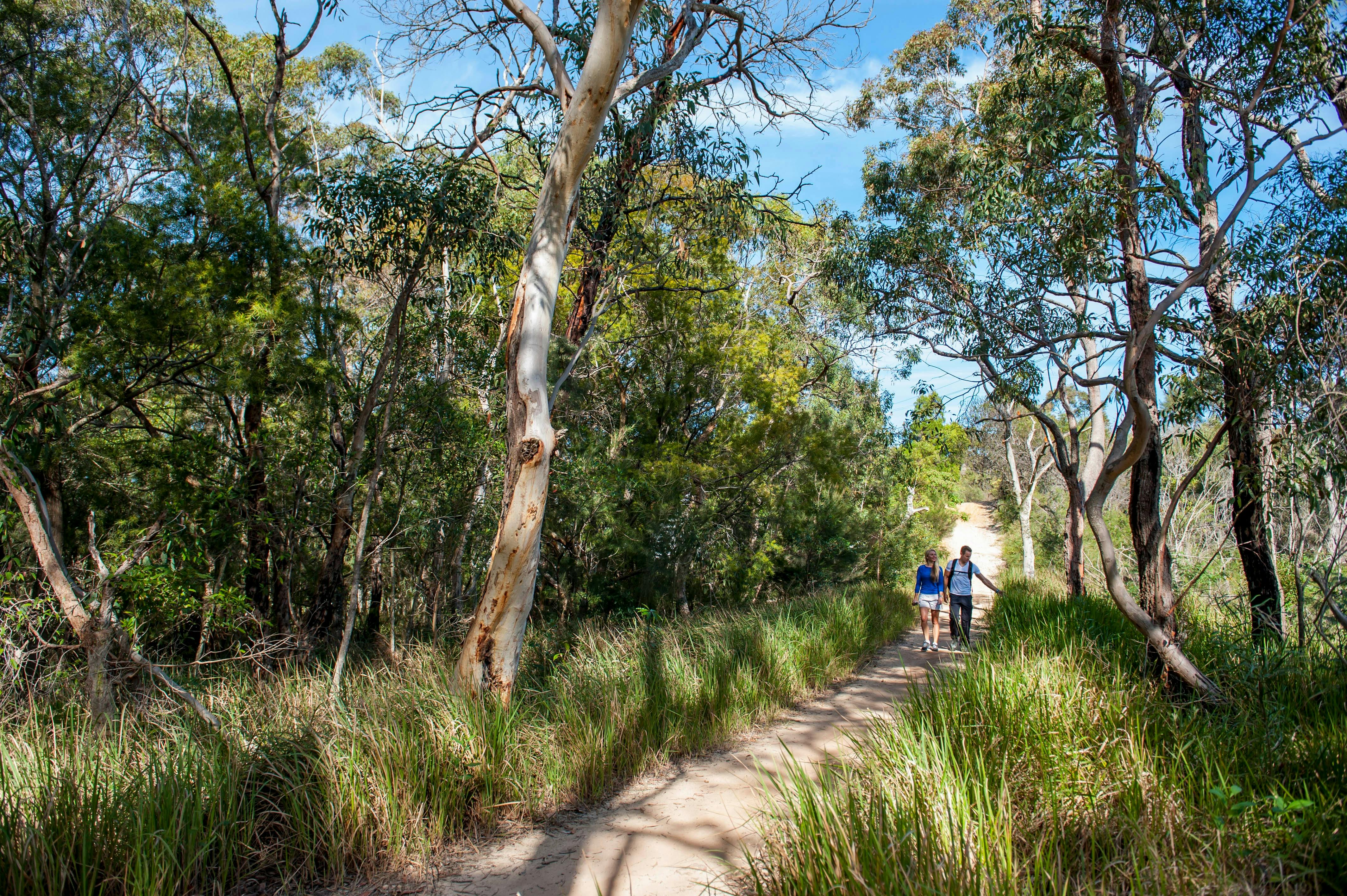Walking Manly Dam