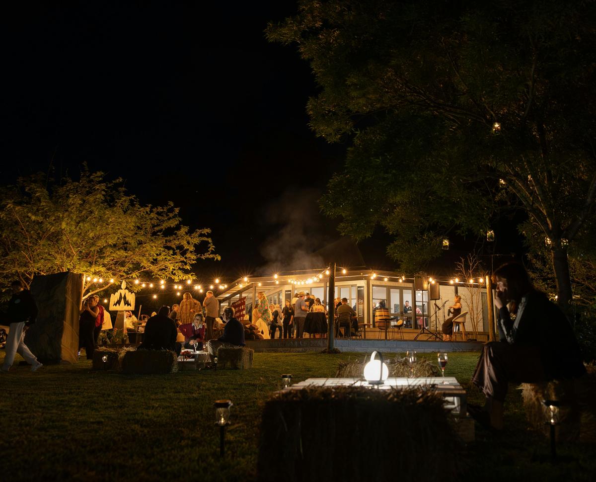D'Vine Festival Opening Night 2024