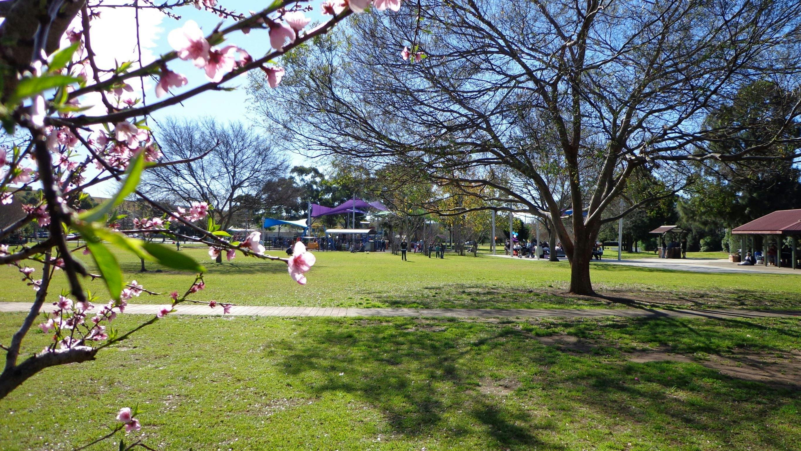 Koshigaya Park Campbelltown NSW
