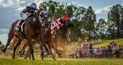 Mendooran Races